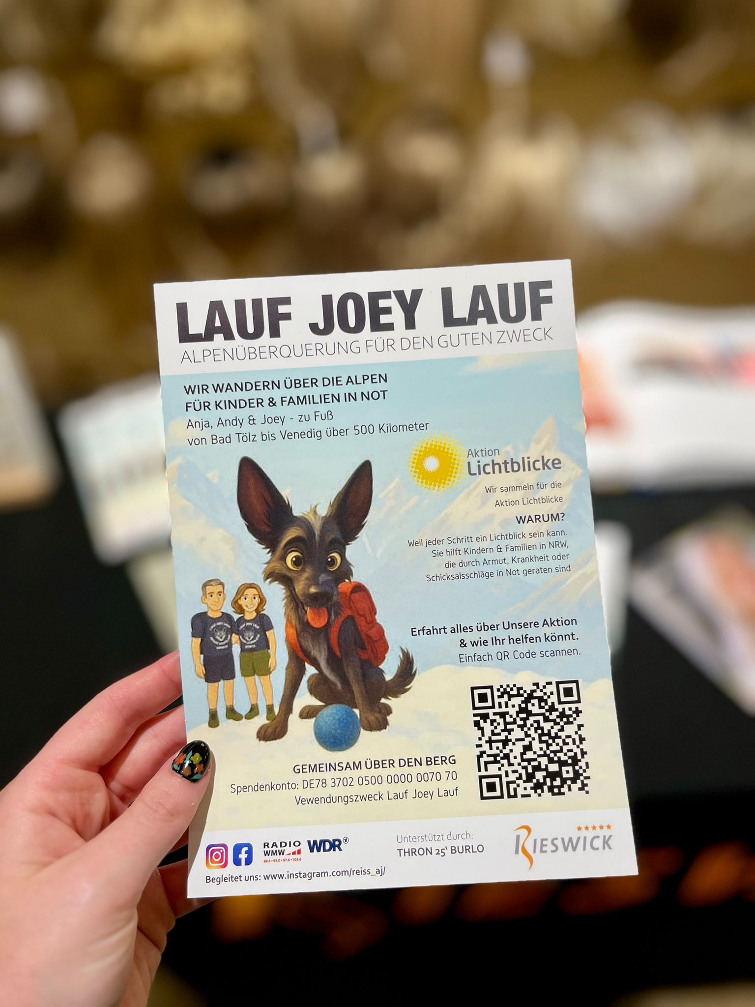 Flyer zu der Aktion &bdquo;Lauf Joey Lauf&ldquo;